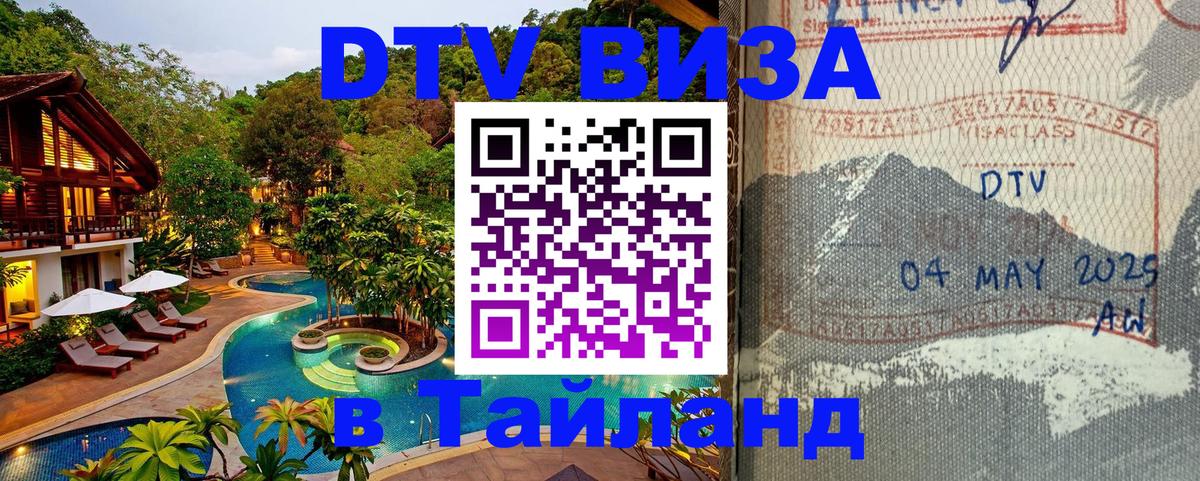 Сколько стоит DTV виза — актуальные цены, оформление даже без документов - Улан-Батор 